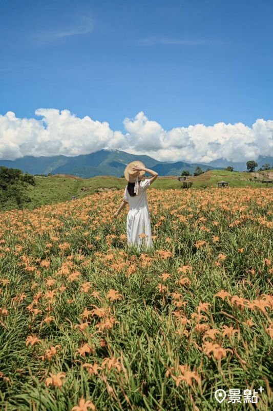 （圖／tintinghi）