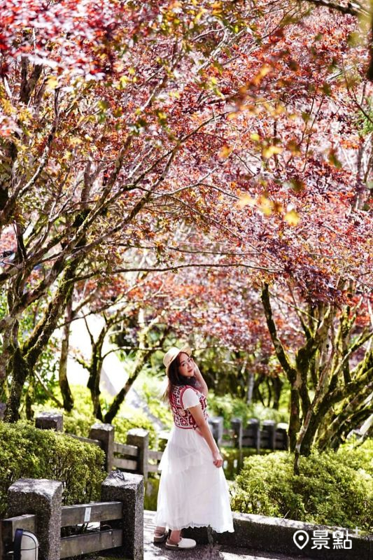 （圖／a_tsai324）