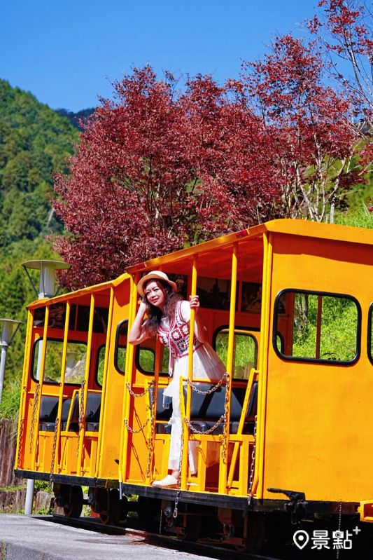 （圖／a_tsai324，以下同）