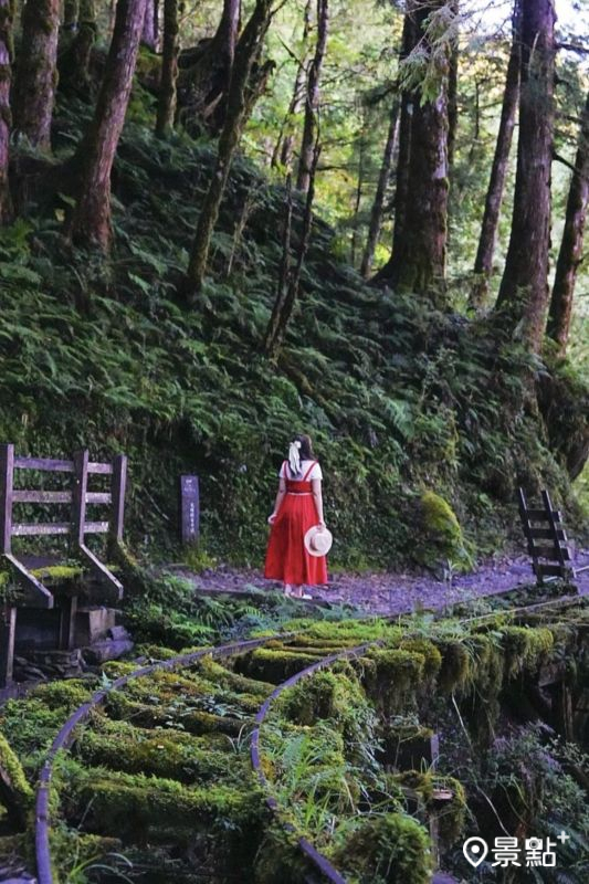 （圖／a_tsai324）