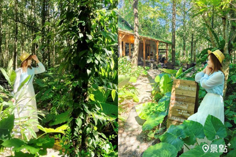 森林系小木屋「那個咖啡吧」隱藏在原始山林中，療癒環境吸引人前往踩點。（圖／summer6639）