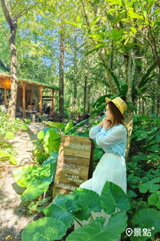 （圖／summer6639，以下同）