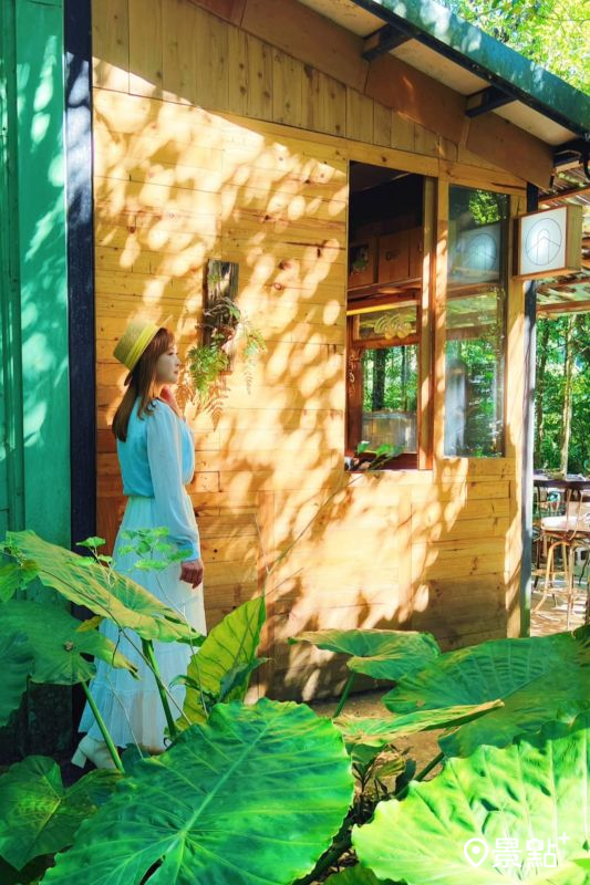 （圖／summer6639）