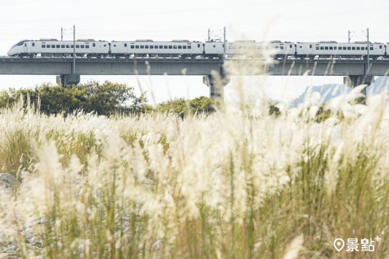 （圖／pho_traveler_joe，以下同）