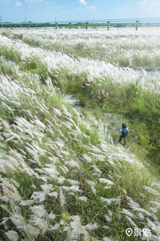 （圖／bb211019）