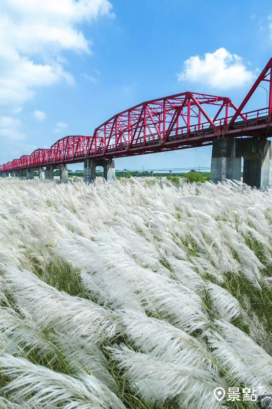 （圖／bb211019）