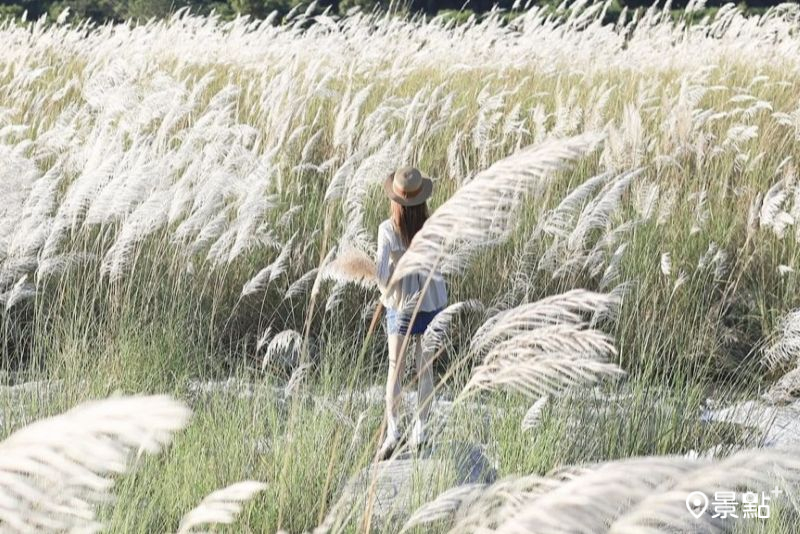 （圖／queena_0302，以下同）