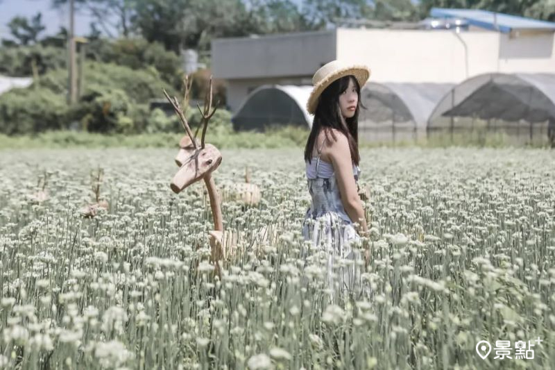 （圖／aday0530）