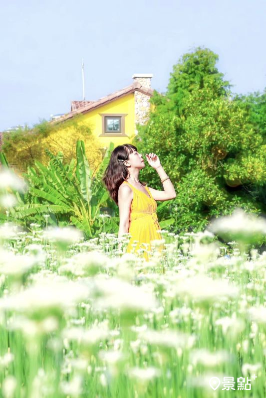 「大溪韭菜花田」同框「黃色小屋咖啡莊園」美景。（圖／hychieh0901）