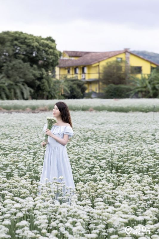 （圖／molly888666）