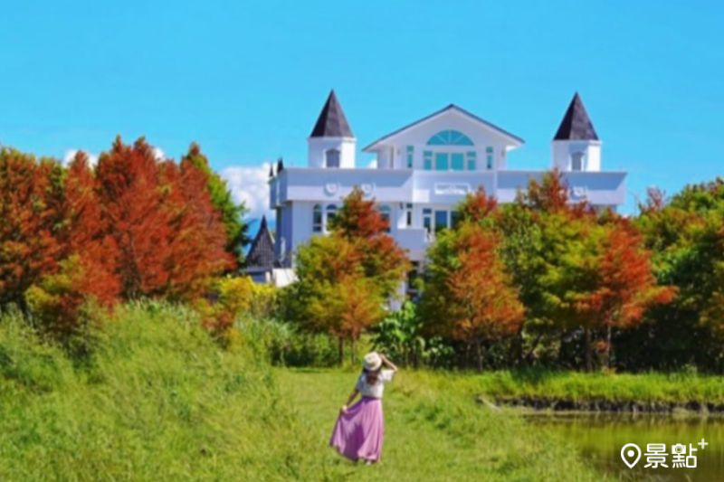 「月河彎民宿」可賞2025年全台最早落羽松美景，吸引人前往拍照打卡。（圖／a_tsai324）