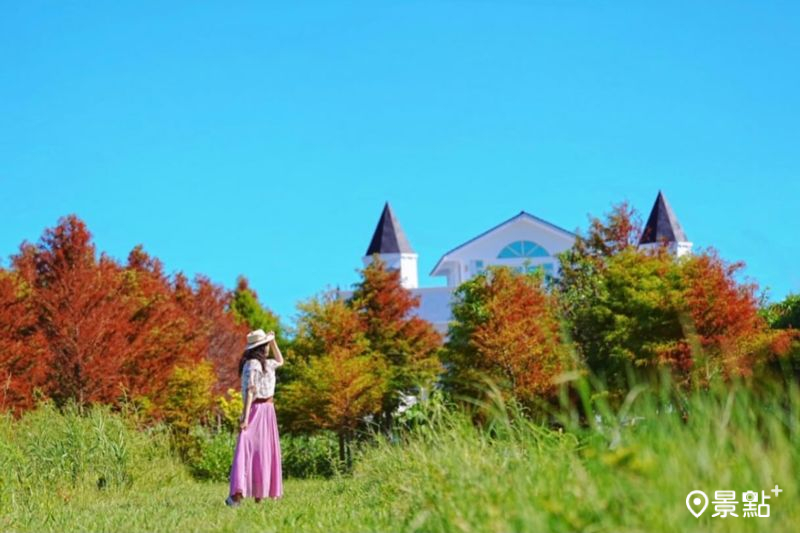 於2025年8月25日拍攝的月河彎民宿落羽松美景。（圖／a_tsai324，以下同）