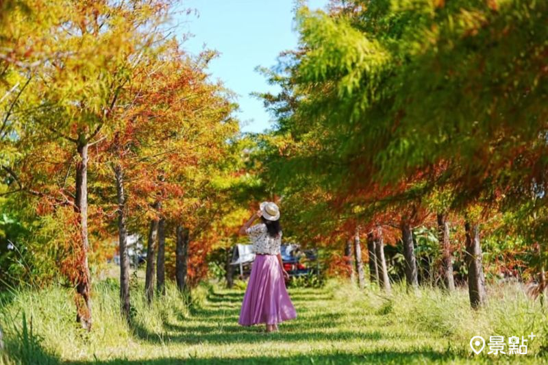 （圖／a_tsai324，以下同）