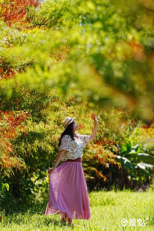 （圖／a_tsai324，以下同）