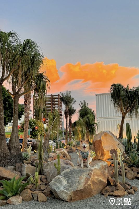 （圖／momo201438）