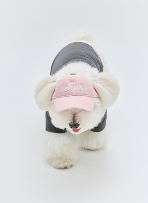 韓國人氣品牌EMIS在台北101 B1 設立台灣首間寵物專賣店。