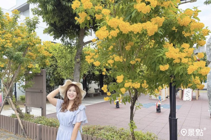 （圖／ariel_apple419）