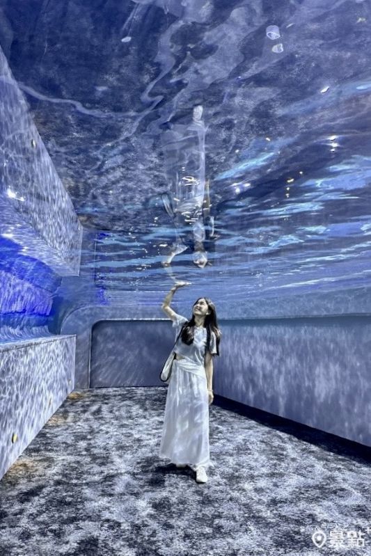 （圖／景點+ 張盈盈，以下同）