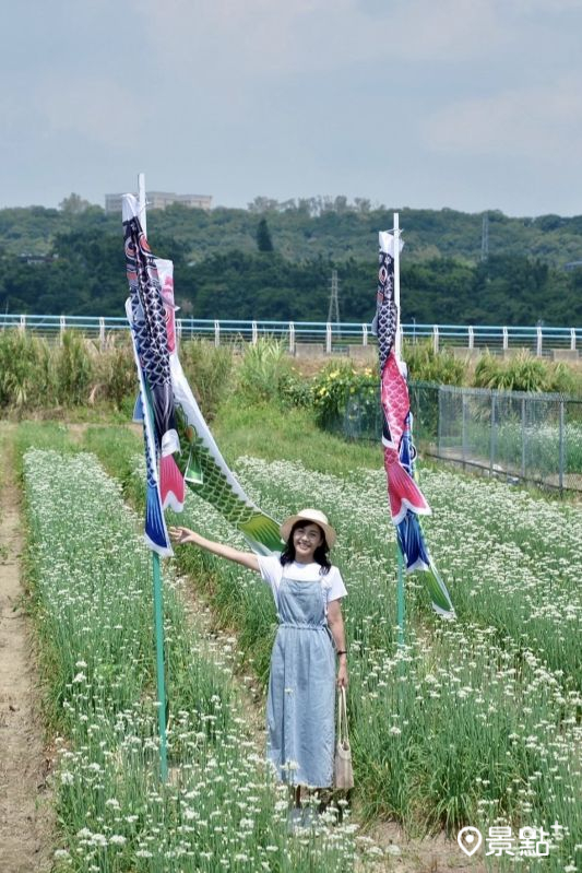 （圖／a_zhu_zhu_）