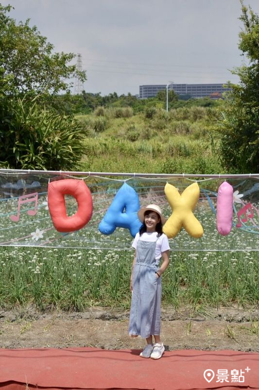 （圖／a_zhu_zhu_）