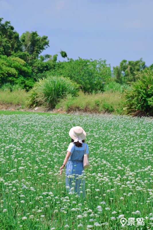 （圖／a_zhu_zhu_）