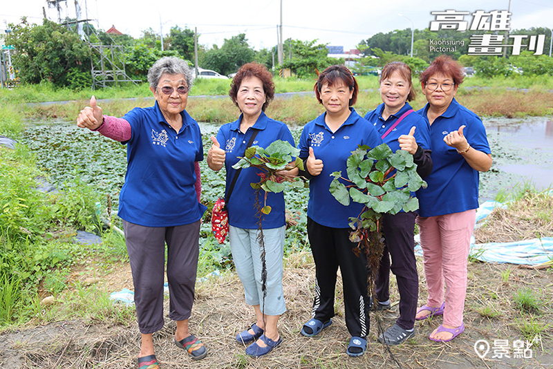 每個拷潭社區媽媽都是菱角說書人。
