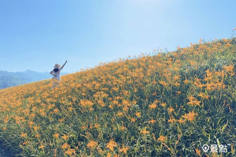 （圖／ariel_apple419）