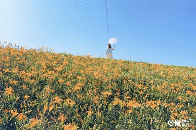 （圖／ariel_apple419）