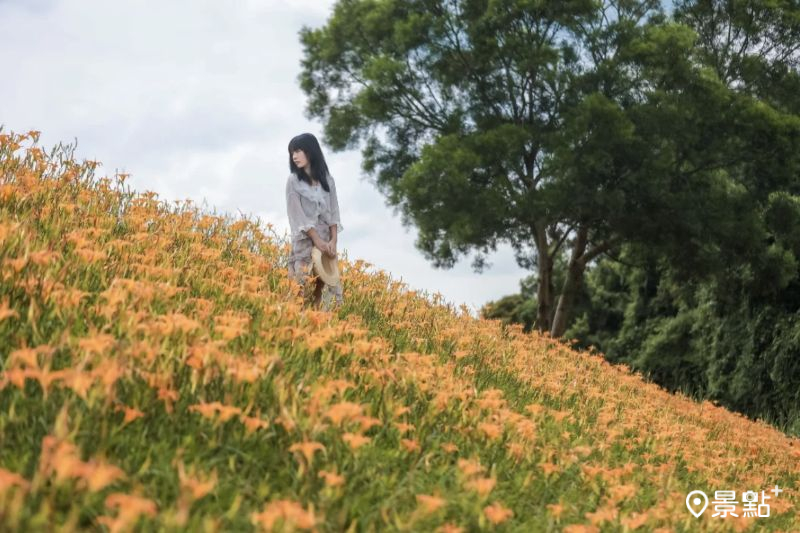 （圖／aday0530，以下同）