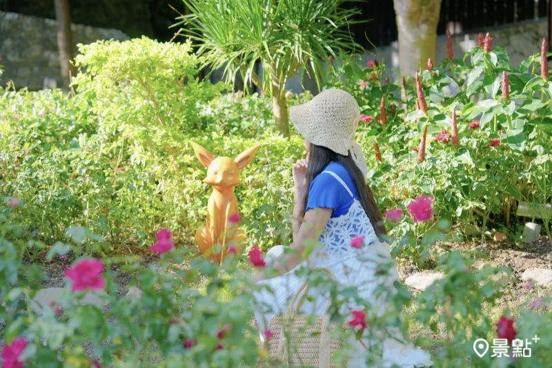 （圖／tsotso_1206，以下同）