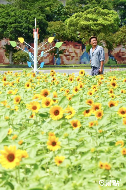 （圖／chih07090616）