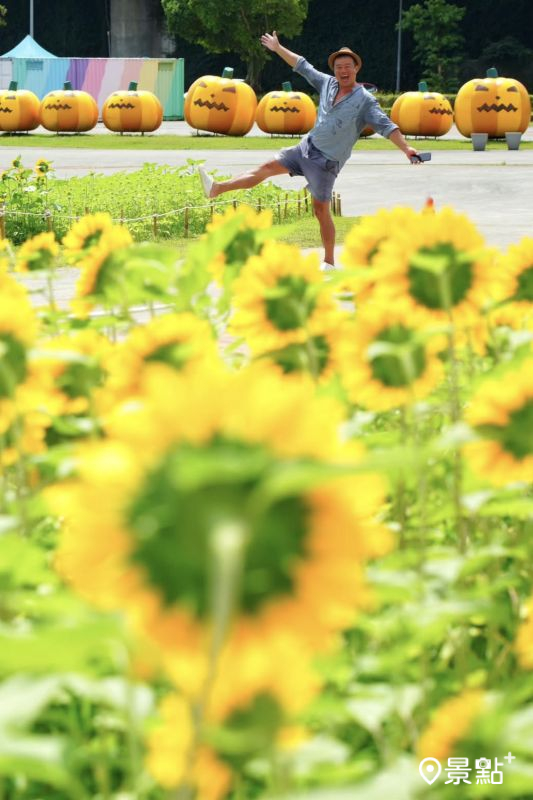 （圖／chih07090616，以下同）