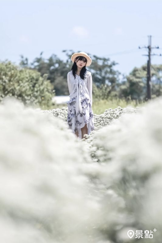 （圖／aday0530）