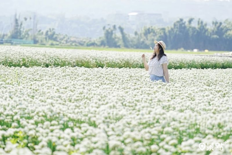 （圖／a_tsai324）