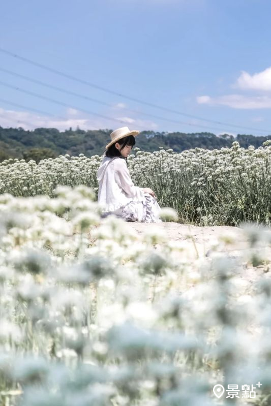 （圖／aday0530）