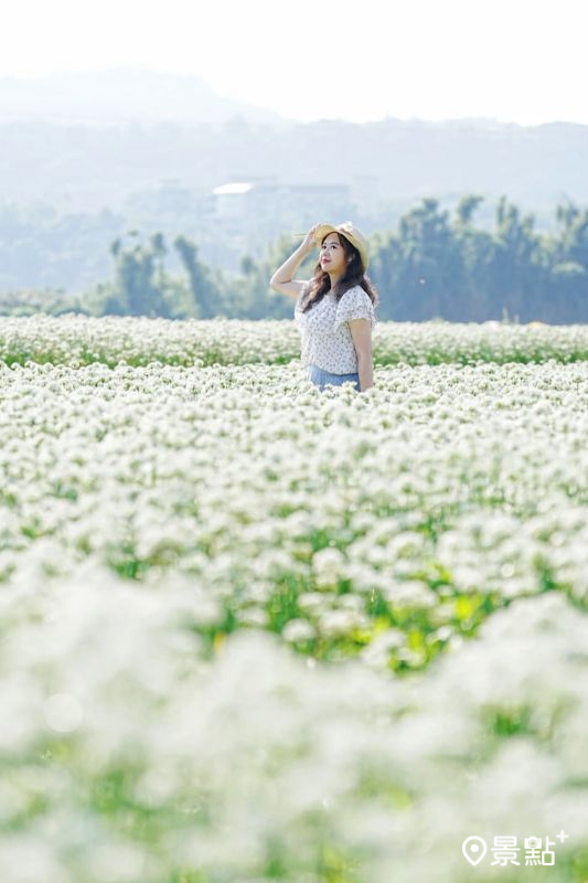 （圖／a_tsai324）