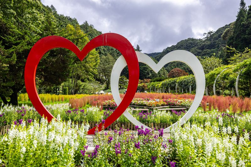 （圖／南投縣政府）