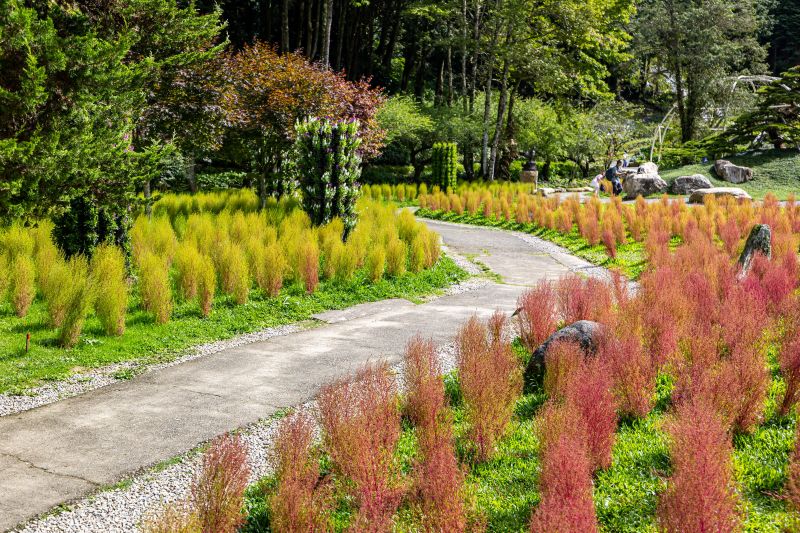 （圖／南投縣政府，以下同）