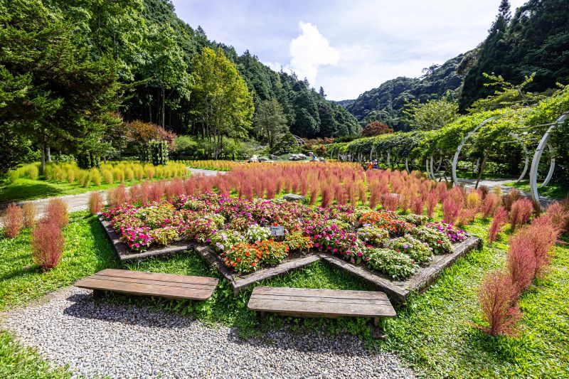 （圖／南投縣政府）