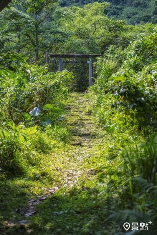 （圖／bo_xiang_0709）