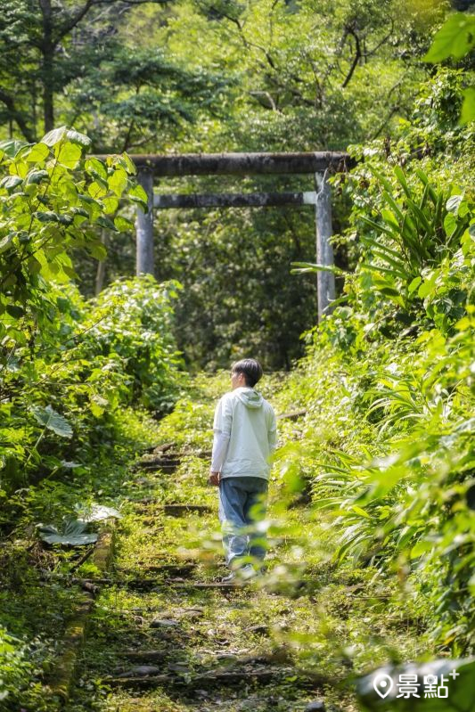 （圖／bo_xiang_0709，以下同）