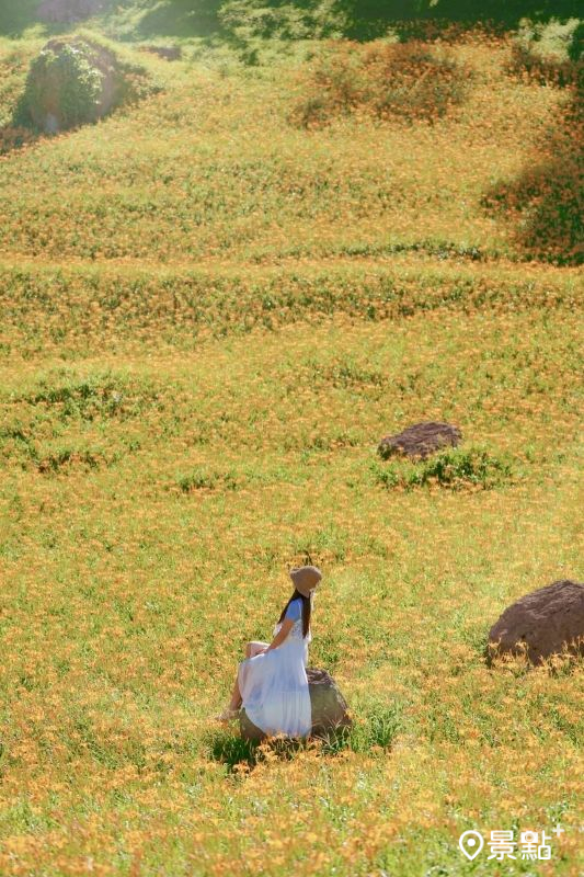 富茂農莊。（圖／tsotso_1206）