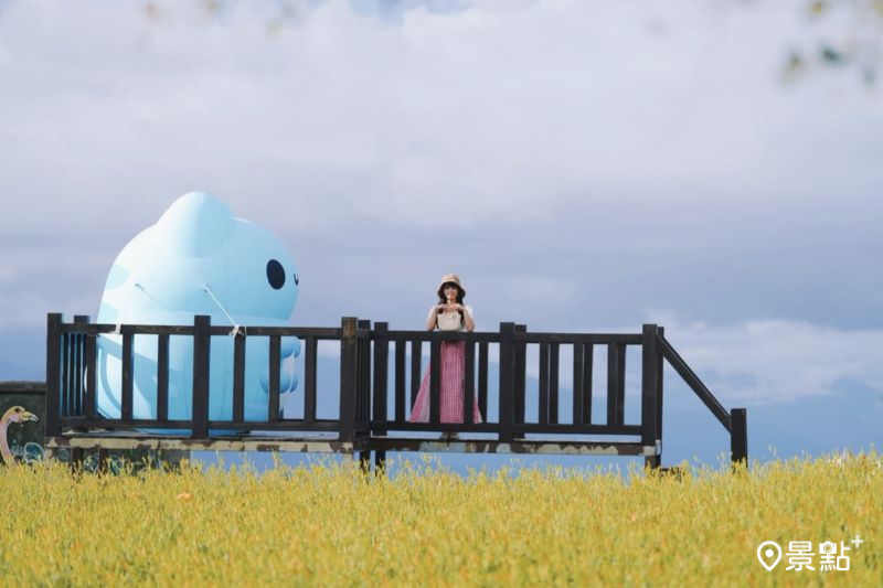 六十石山貓貓蟲咖波造景。（圖／tsotso_1206）