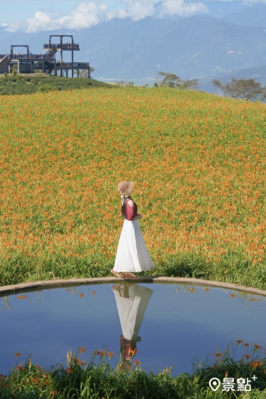 烏魚水池。（圖／tsotso_1206）