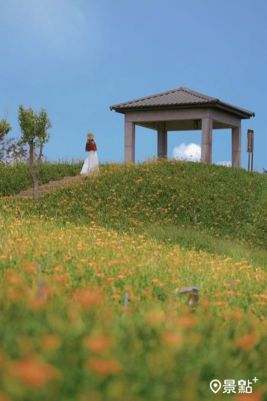 德森有機農莊。（圖／tsotso_1206）