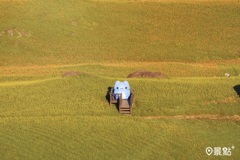 （圖／tsotso_1206）