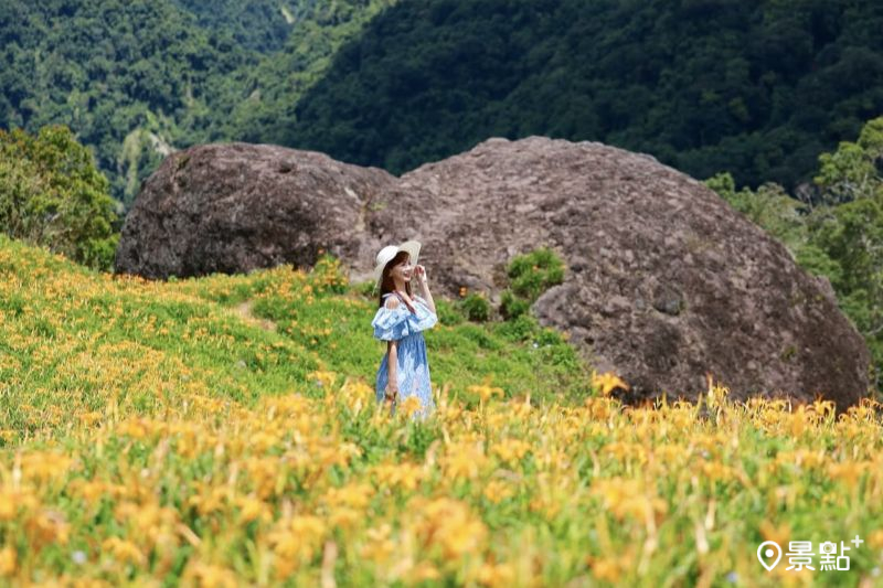 千噸石龜。（圖／lichi0118）