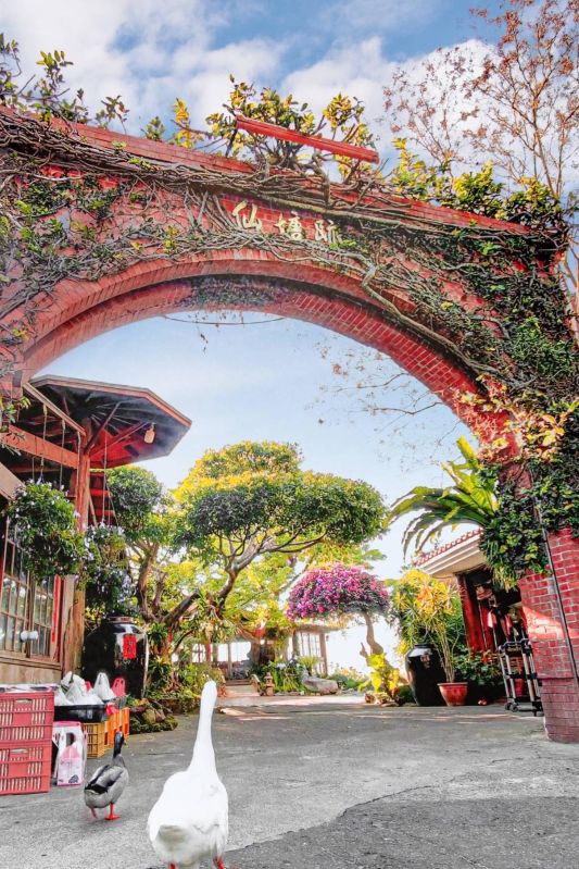 （圖／仙塘跡農園餐廳）