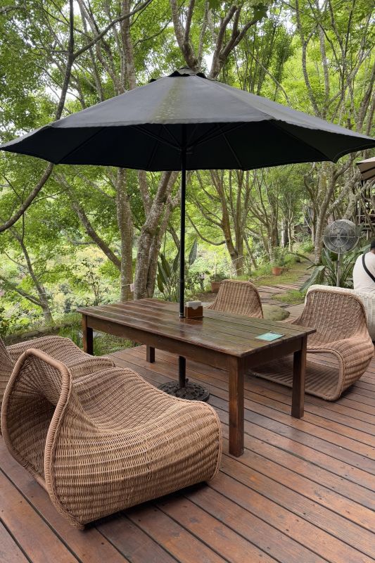 園內「鳥 V.S 人」森林咖啡。