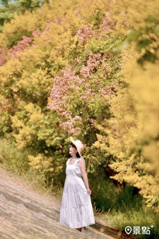 （圖／laiyuping9520）